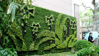 融合美學與生態 陽臺花園設計中堂假山噴霧景觀的構建與養護管理